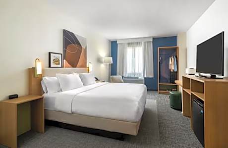 1 King Bed With Sofabed
