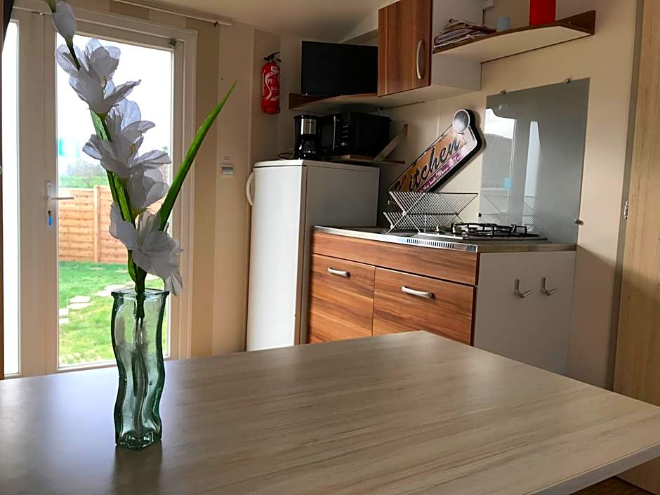 CosyStudio Site du Futuroscope