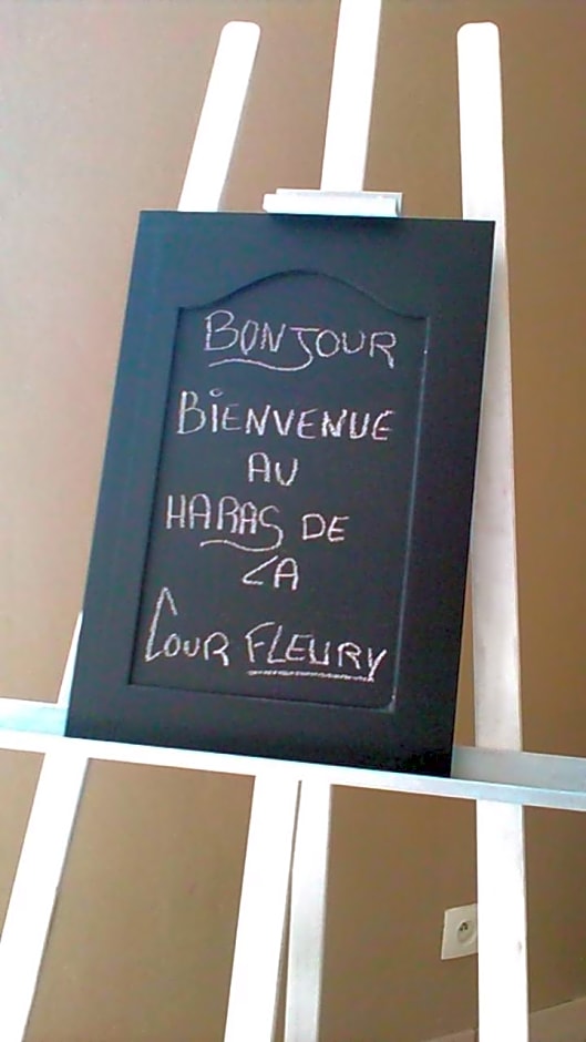 B&B Haras de la Cour Fleury