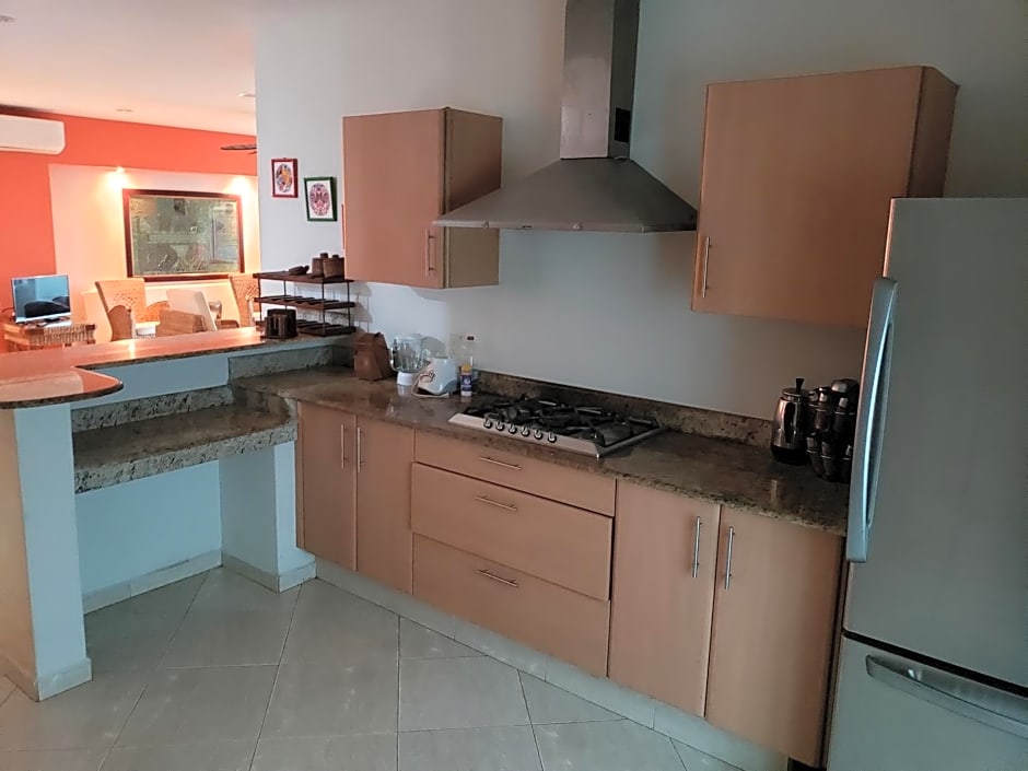 CARASOL VILLAS y SUITES PRIVADAS