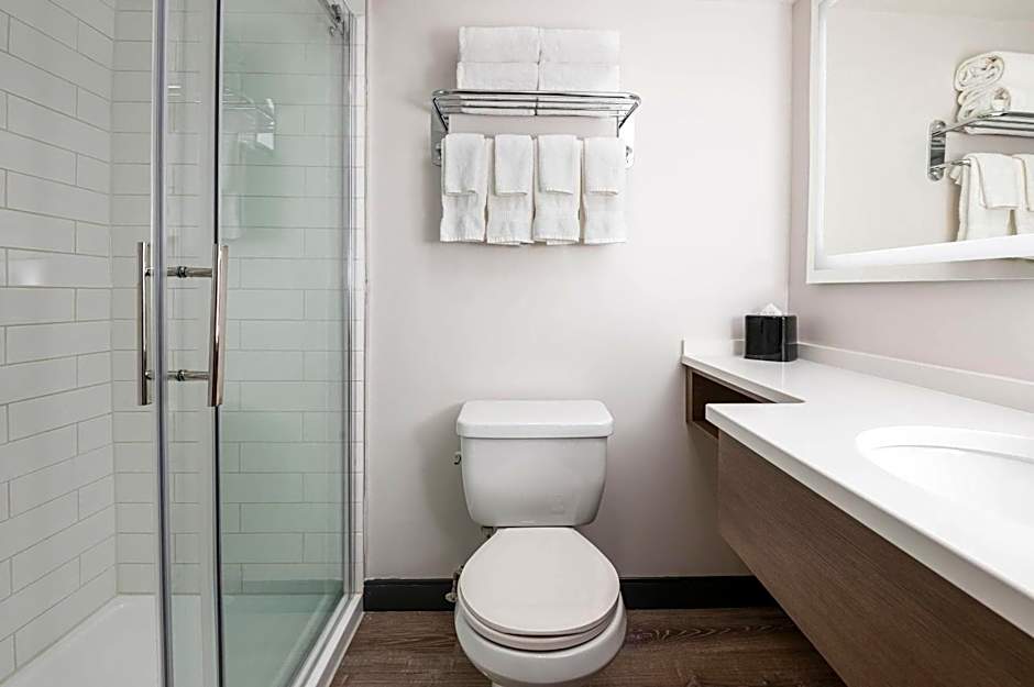 Comfort Suites Kingston Central