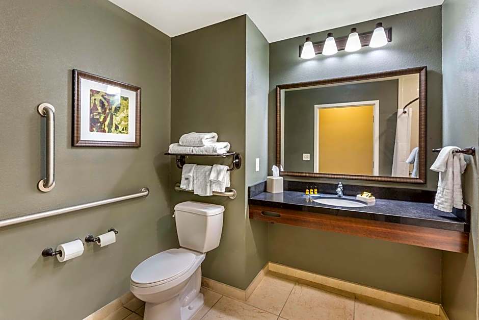 Best Western Plus Chandler Hotel & Suites