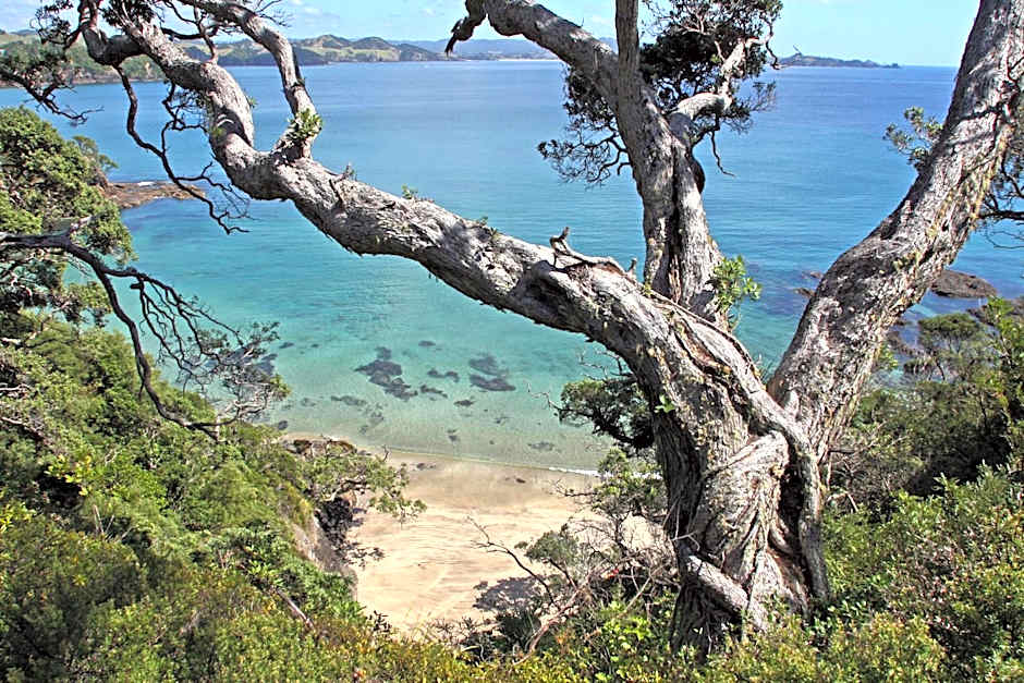 Quality Hotel Oceans Tutukaka