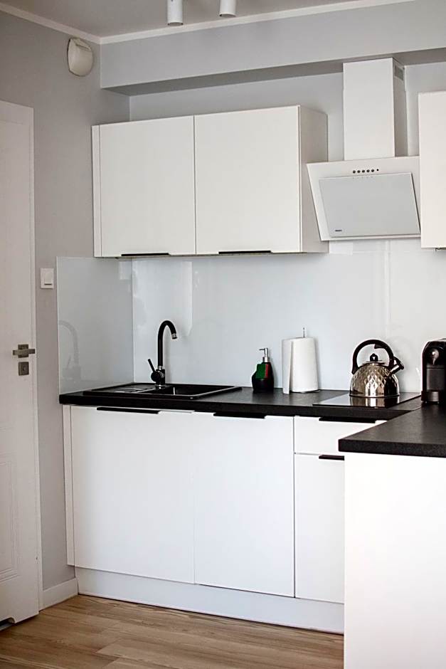 Baltic Gdańsk Old Town by St Mary's Church