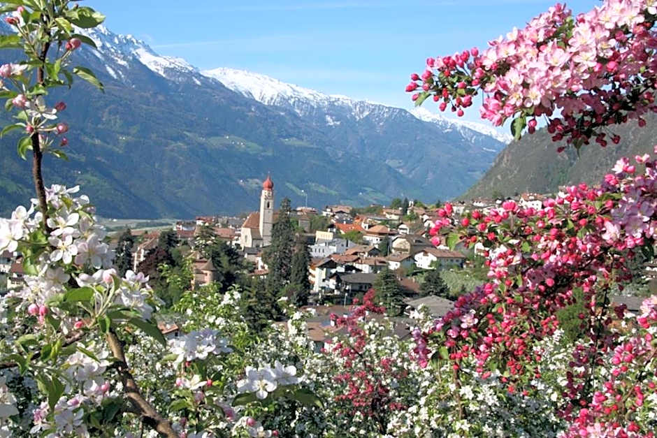 Residence Sonnenburger - Biobauernhof - Azienda agricola biologica