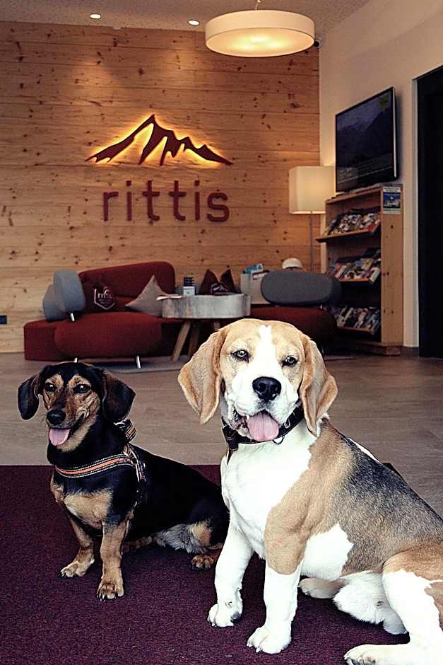 Rittis Alpin Chalets Dachstein