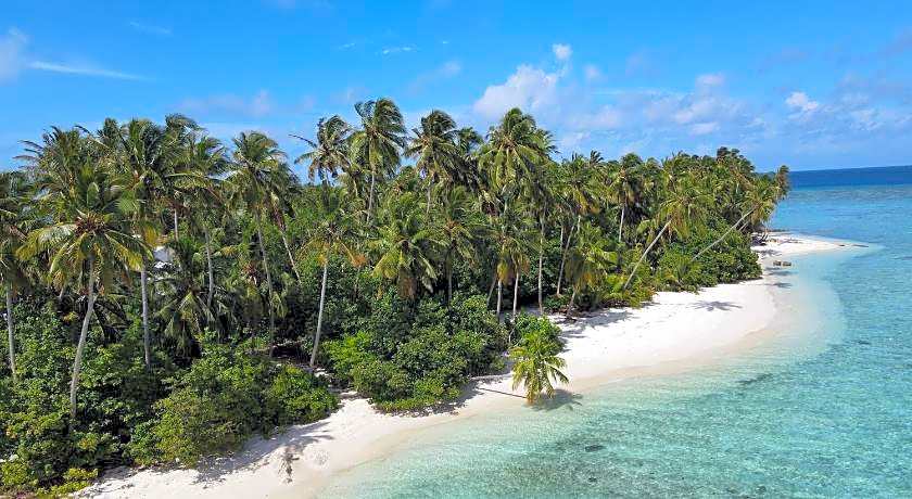 Alimas Holiday Retreat