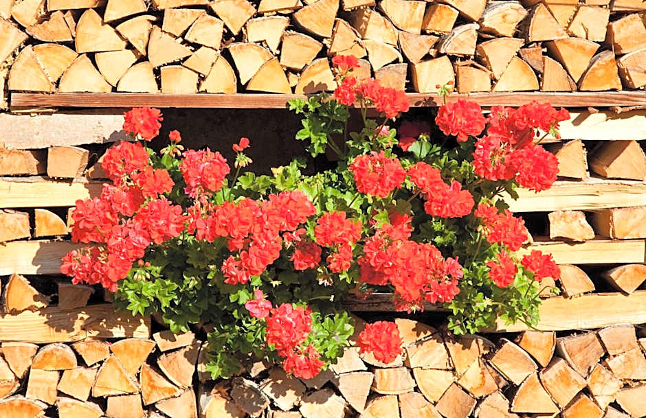 Hotel Pangrazzi - 3 stelle superior