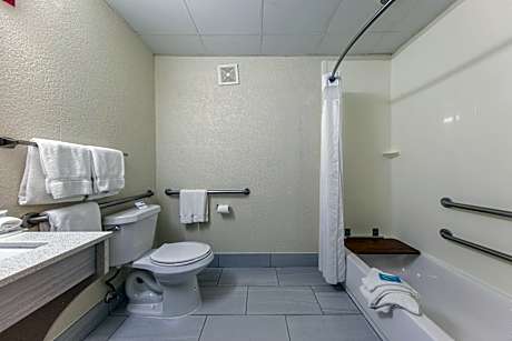 2 Queen Mobility Accessible Tub