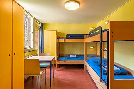Bed in 4-Bed Mixed Room with Shower
