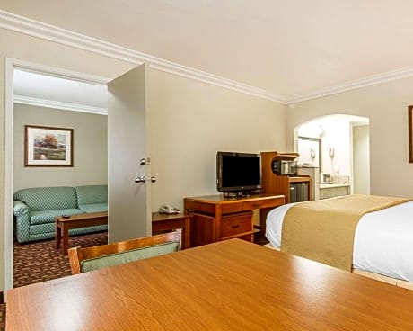 1 King Bed  Suite  No Smoking