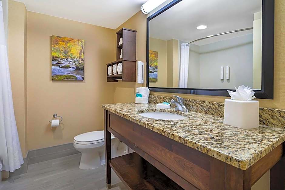 Clarion Pointe Cherokee