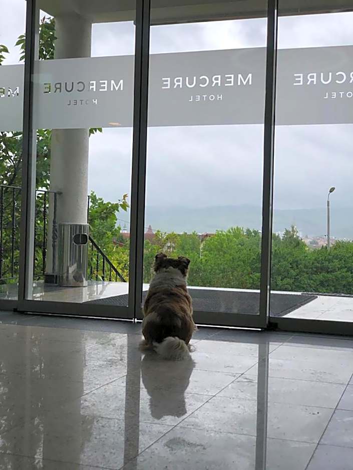 Mercure Medias Binderbubi Hotel And Spa