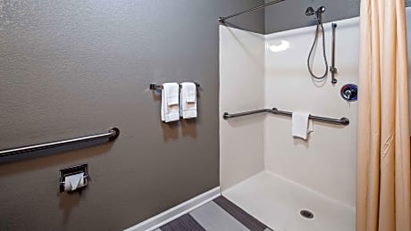 1 King Bed, Mobility Accessible, Roll In Shower, Non-Smoking, Full Breakfast