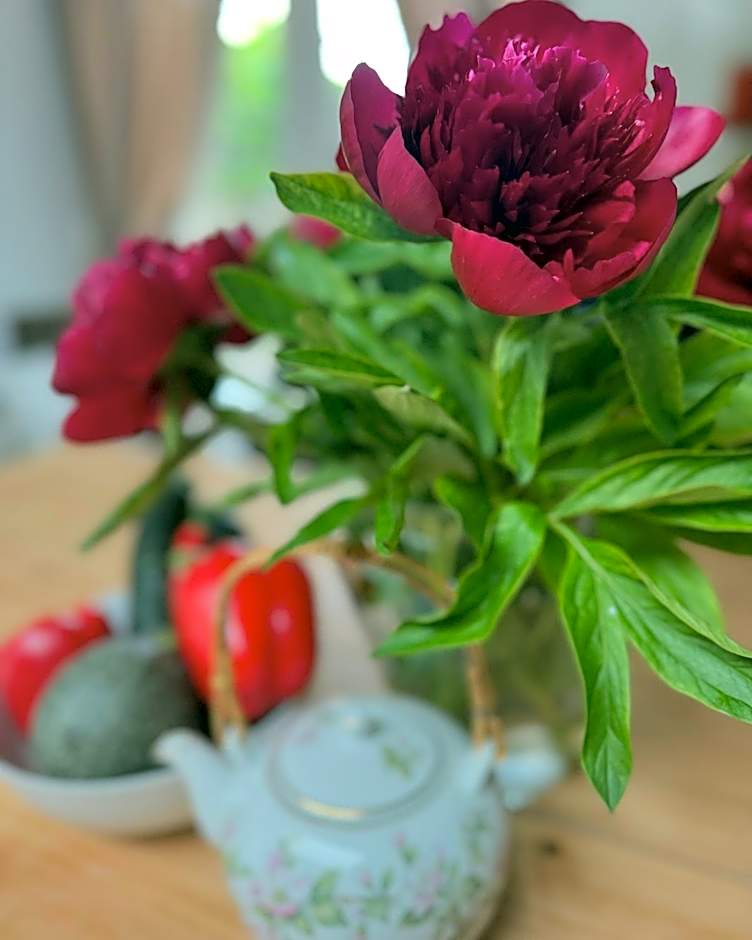 Bed & Breakfast Yerseke