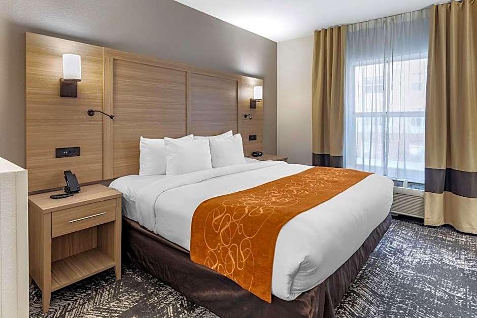 Comfort Suites Anderson-Clemson