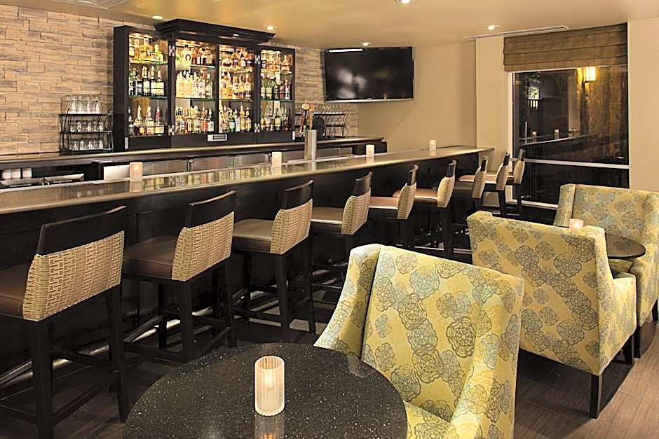 Hilton Garden Inn Dfw Airport South