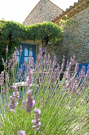 Double or Twin Room with Mountain View