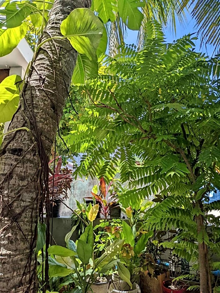 Dhoadhi Retreat Thulusdhoo