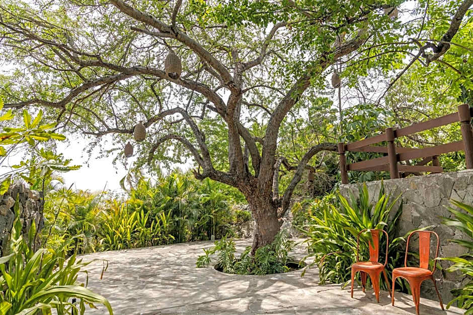 Soul Spring Sanctuary