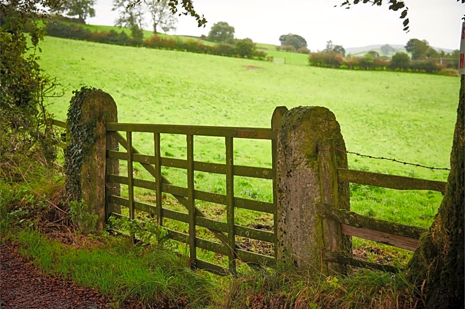 Newlands Farm Stables