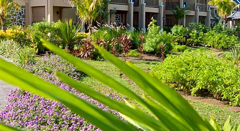 Jalsa Beach Hotel & Spa