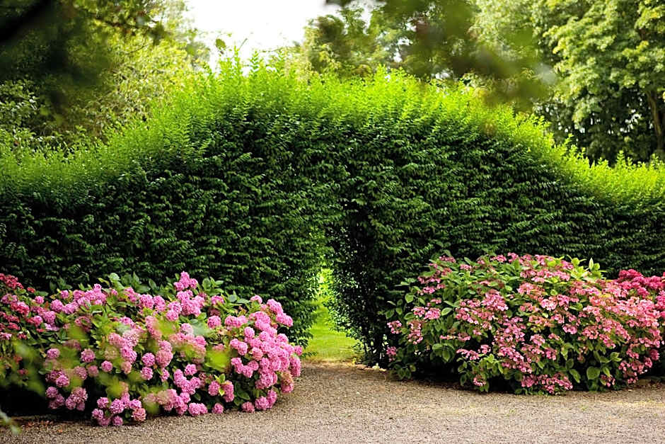 Château de la Marine