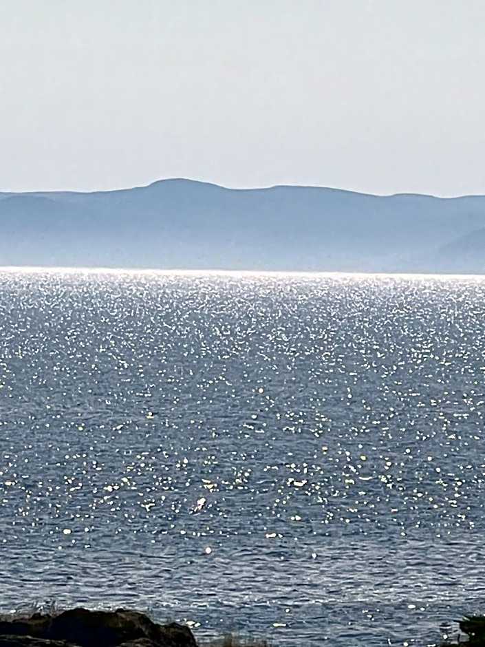 The View suites and breakfast in Triton, Newfoundland