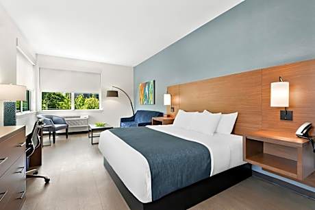 Hayward Building Pet Friendly King with Sofa Bed