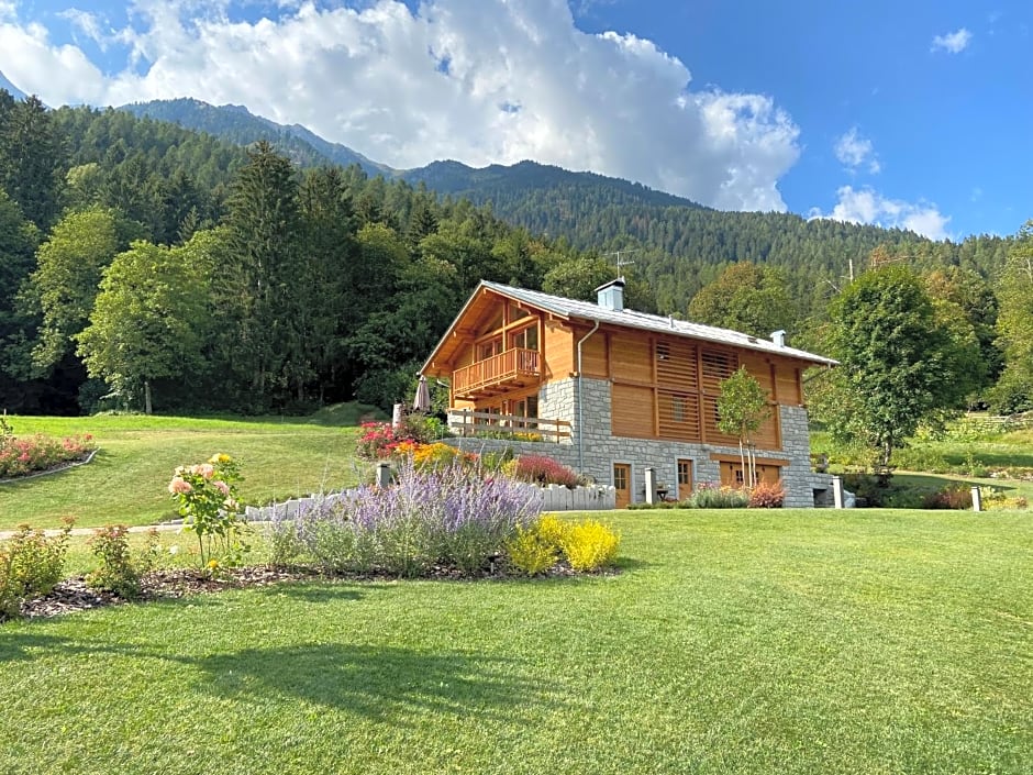 Photo 1 of 45 of B & B Chalet Plan