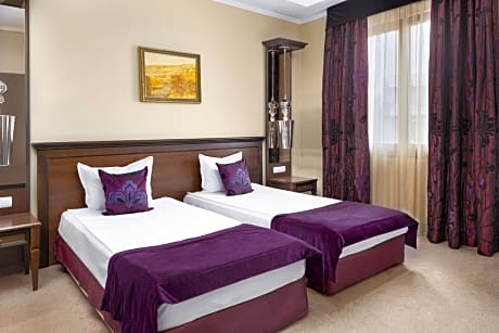 Twin Room with Tsarerets view - New Year's Eve Package