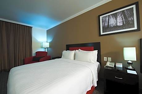 King Room - Mobility Access/Non-Smoking