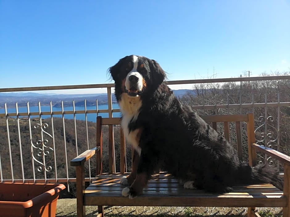 Villa Magnolia BB, Lago Maggiore (Massino Visconti, Italy)
