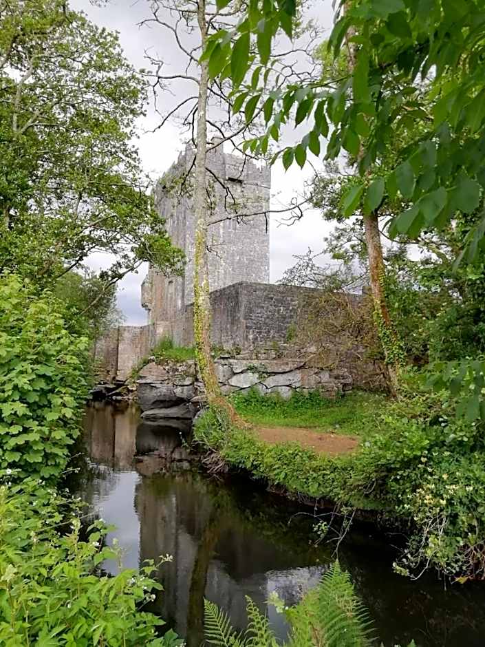 Mountain View Guesthouse