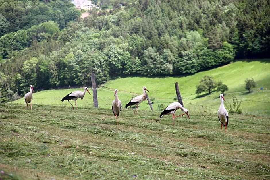 La Colline Du Baa - Maison d'hôtes d'exception