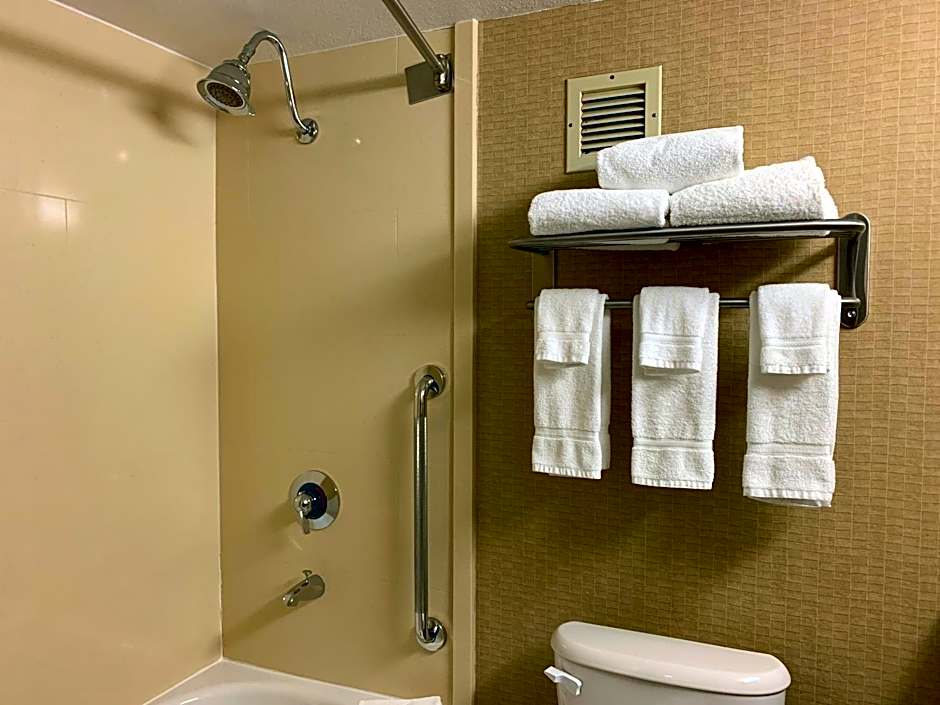 Holiday Inn Johnstown-Downtown By IHG