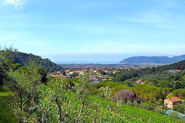 Agriturismo La Carreccia