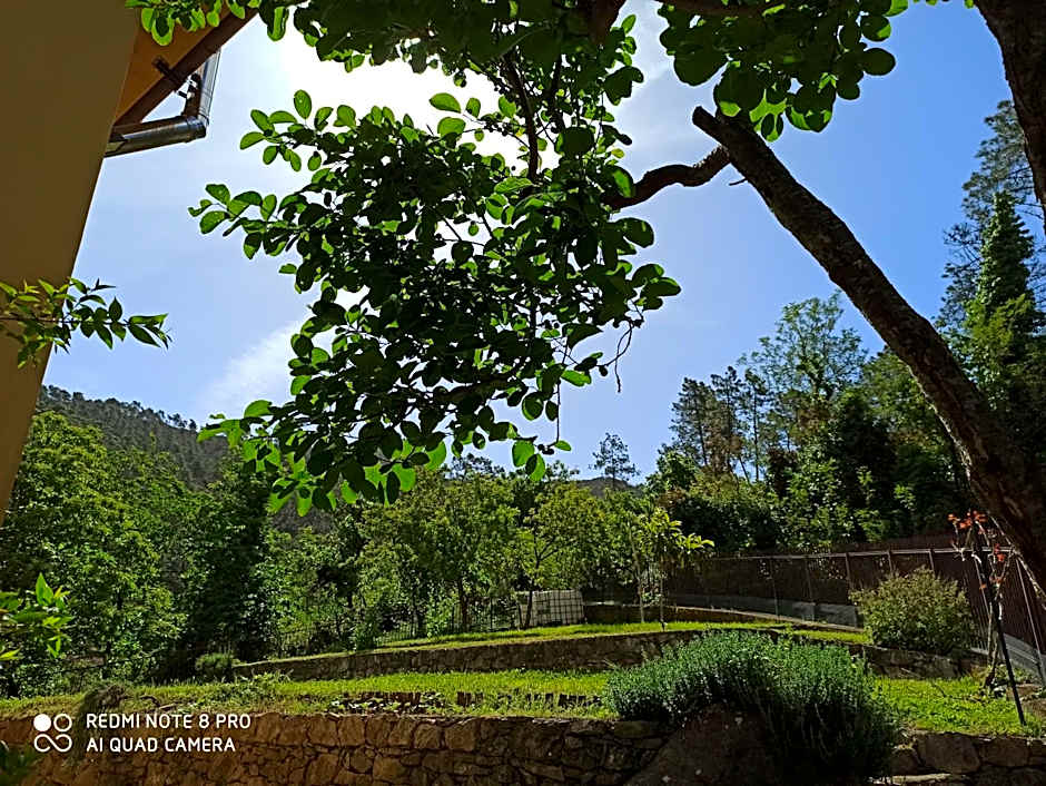 Agriturismo Le cicale e la formica