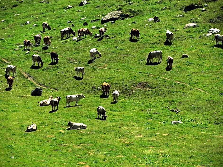 Il Piccolo Residence