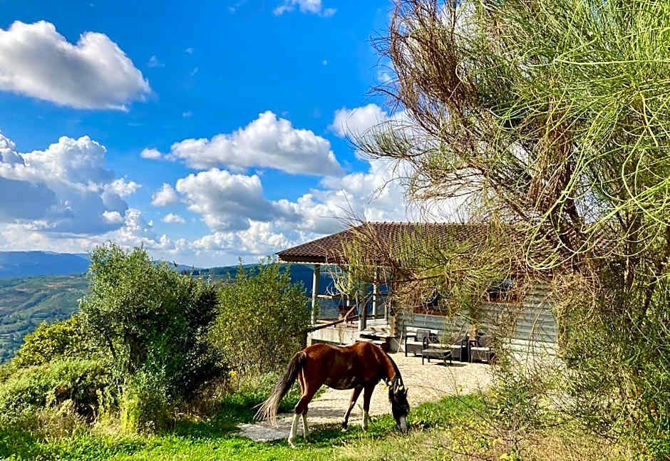 Mountain Log Cabin O Lobo