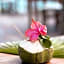 Petit Lafitte Beach Front Hotel & Bungalows