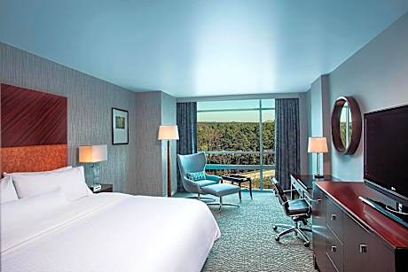 Traditional Room, 1 King Bed