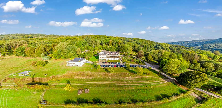 Waldhotel Sonnenberg