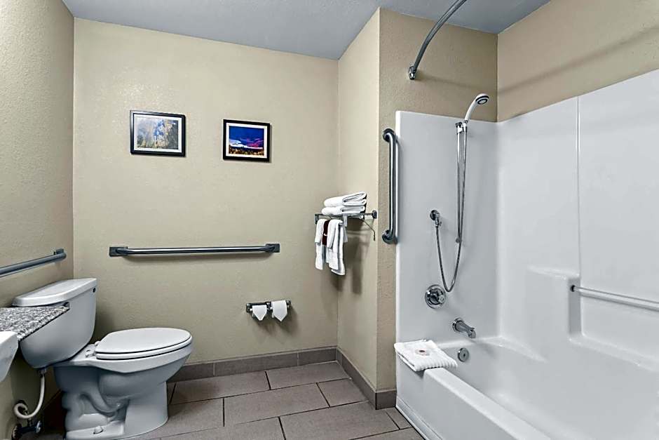 Comfort Inn & Suites Midtown