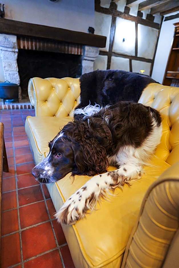 Auberge Du Cheval Blanc - Teritoria