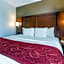 Comfort Suites Knoxville North