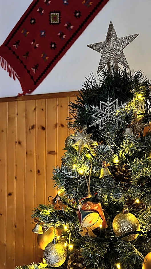 Hotel Acropolis Metsovo