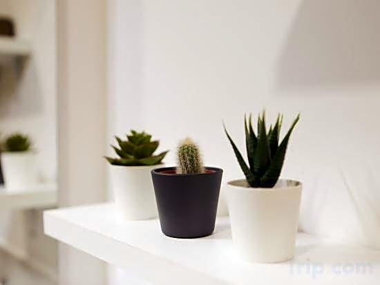 Pepi Modern