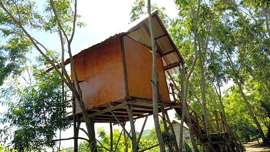 Rumah Pohon