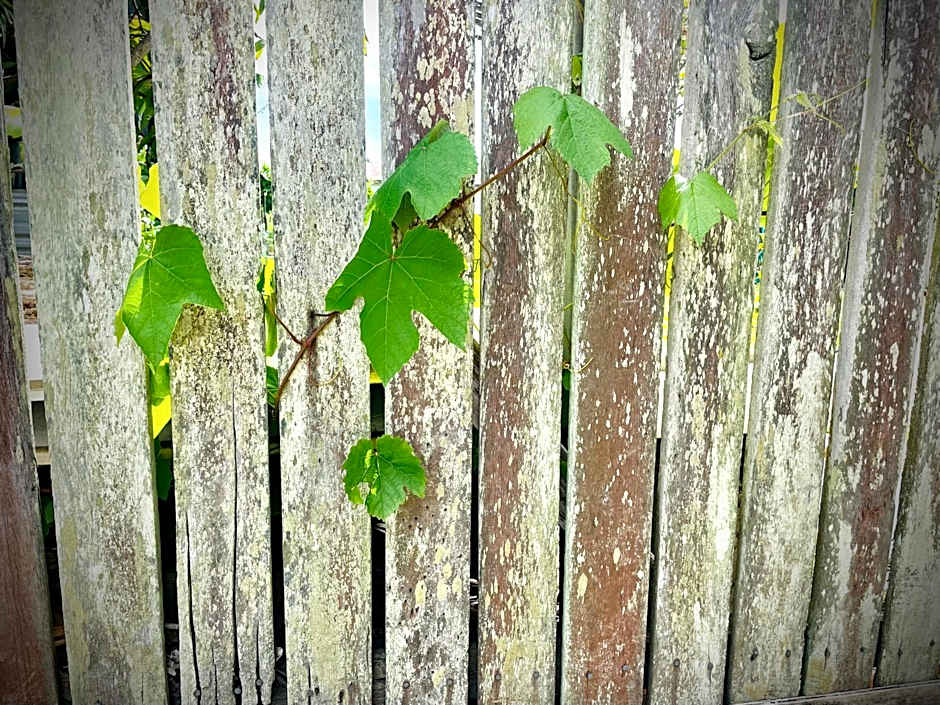 Churchill's B&B twin spa getaway Studio